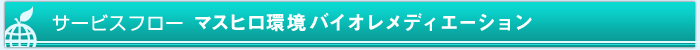 サービスフローバイオレメディエーション