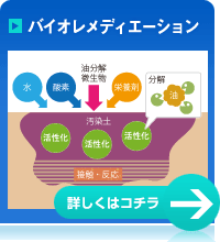 バイオレメディエーション